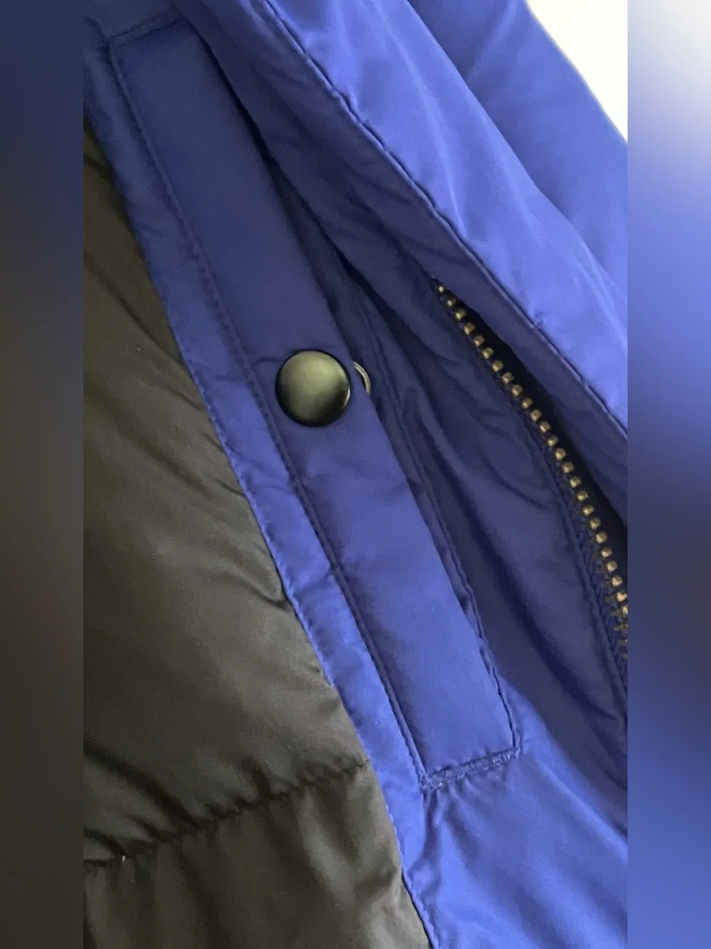 Banana Republic stylish blue